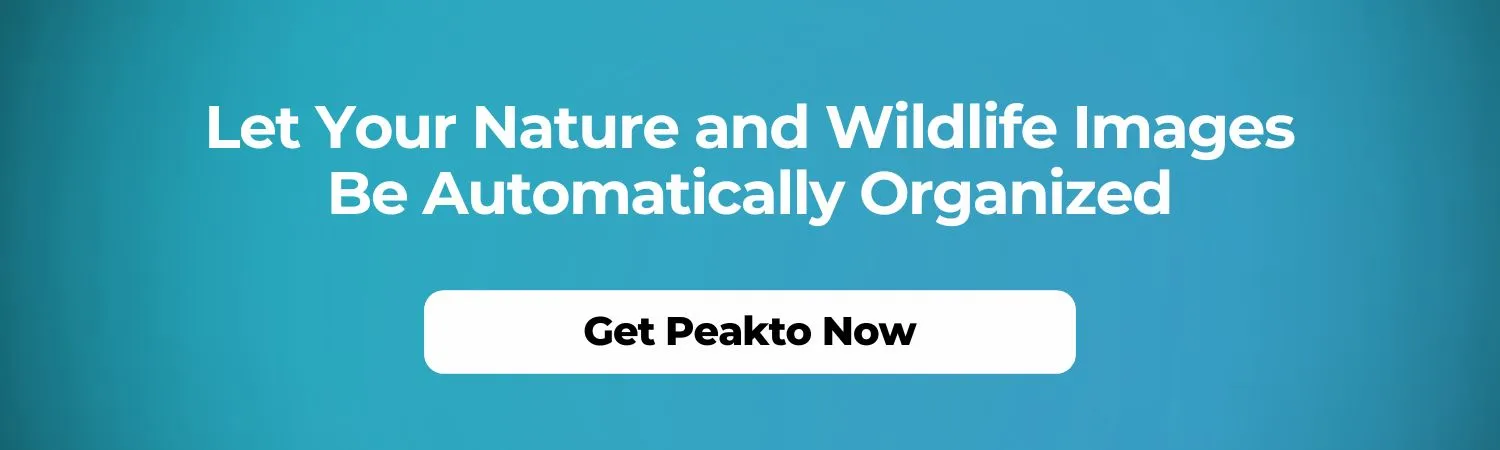 Automatic Categorization of Your Nature Photos - Peakto