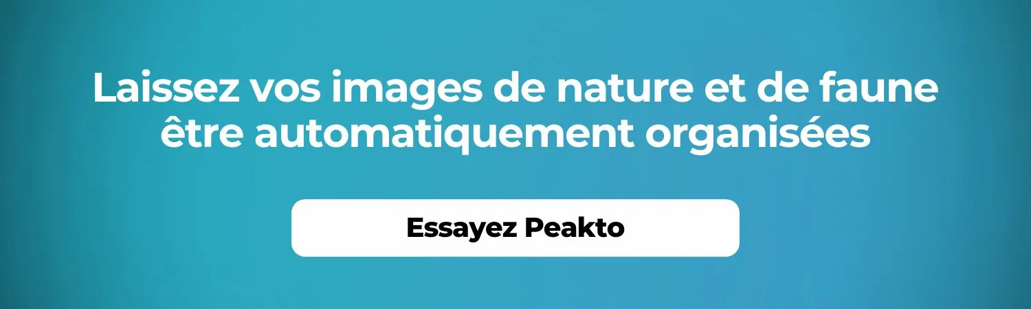 Catégorisation automatique de vos photos de nature - Peakto
