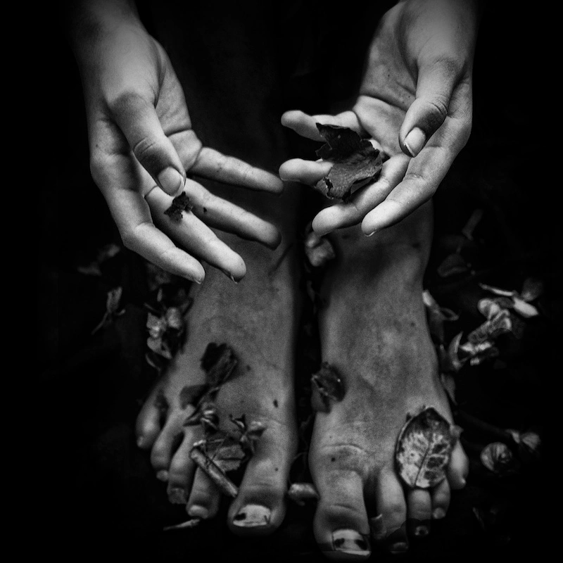 Hands and feet in leaves by Noemia Prada