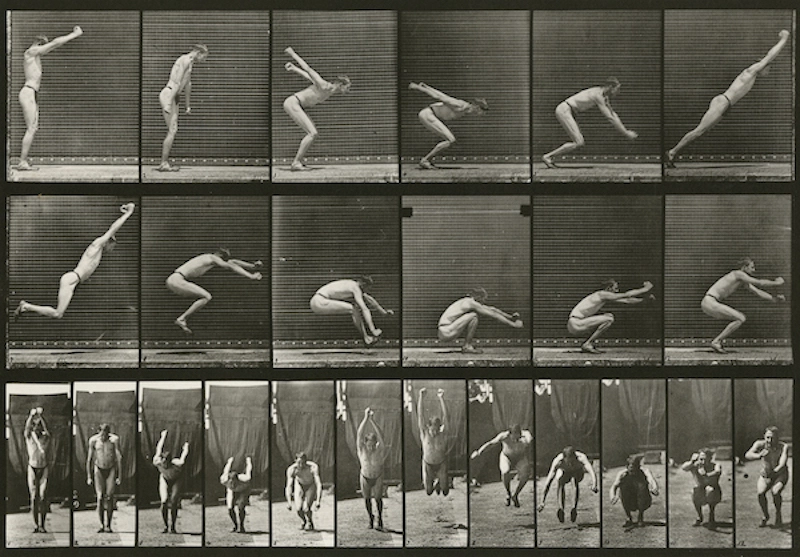The inspiration in photography 5 - Muybridge