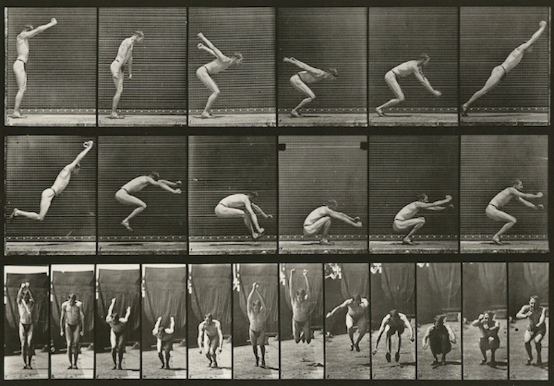 L'inspiration photographique 5 - Muybridge