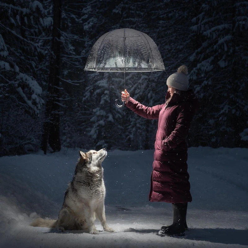 Chien avec une lumière sous un parapluie