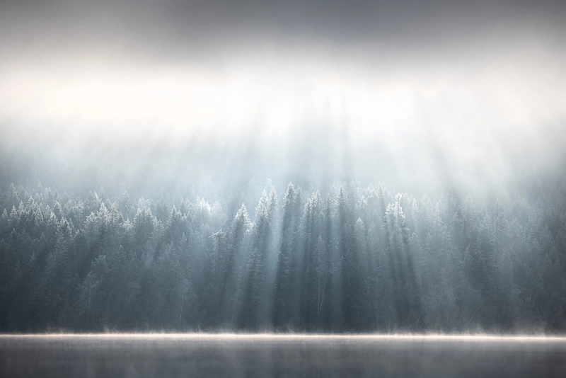 Rayons de lumière sur une forêt et un lac