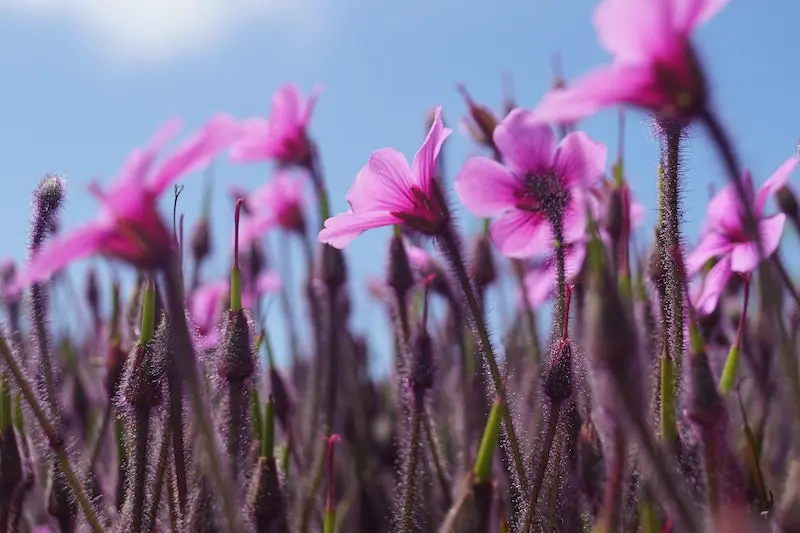 Conseils pour une photo réussie 2