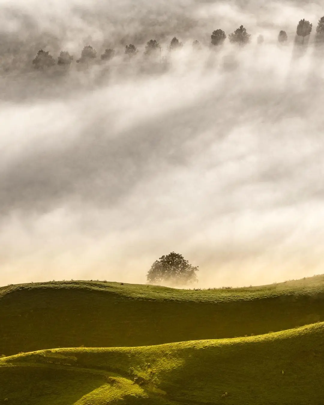 Exploring Long Exposure Photography with Deb Clark 16