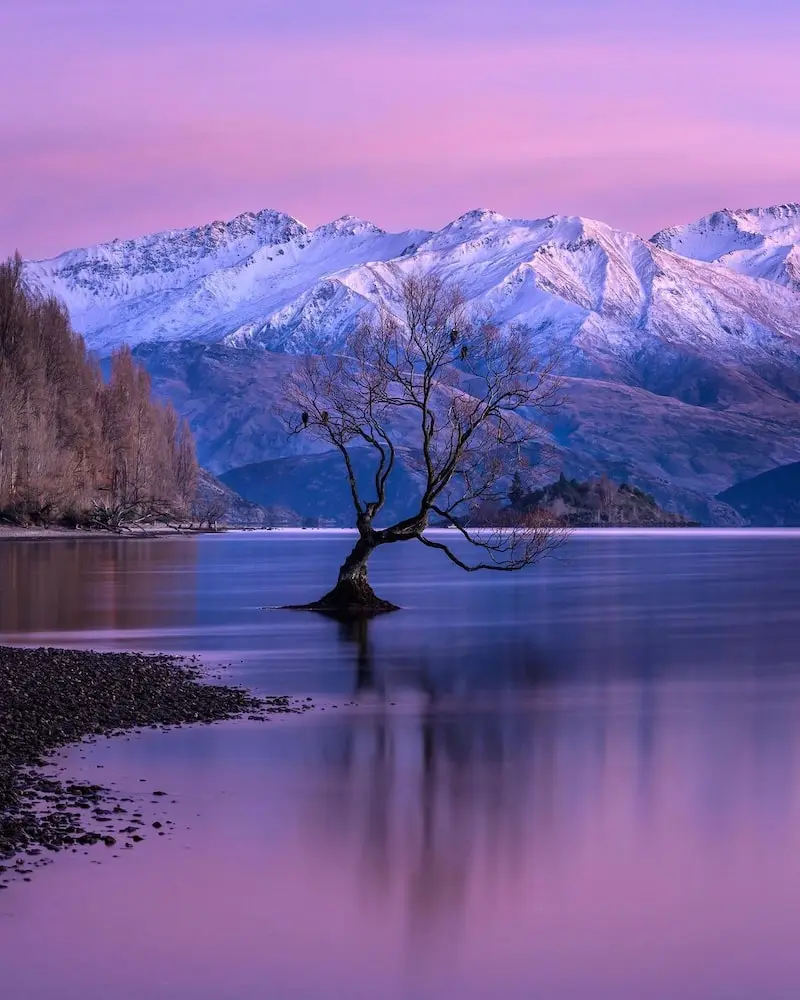 Photographie d'un coucher de soleil violet avec des montagnes