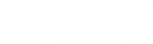 Petapixel logo