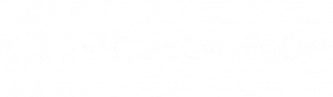 Pro Video Coalition logo