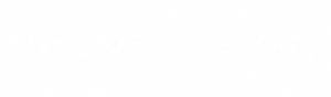 Logo de The Digital Story