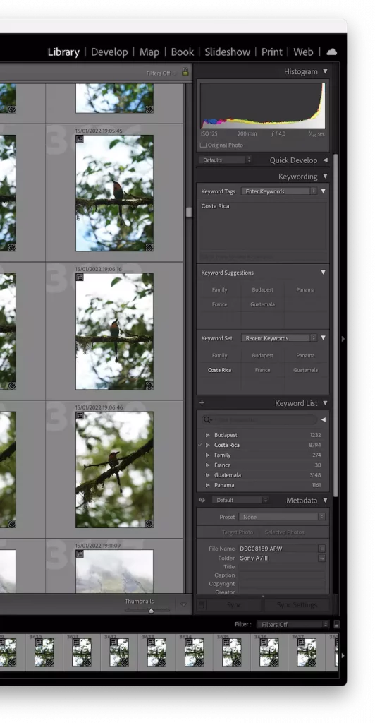 keywords in Lightroom