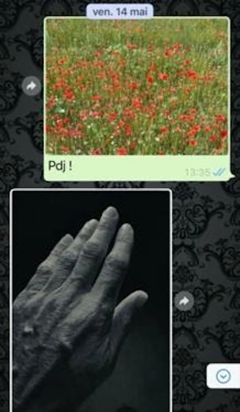 Sharing pictures and emotions on Whatsapp