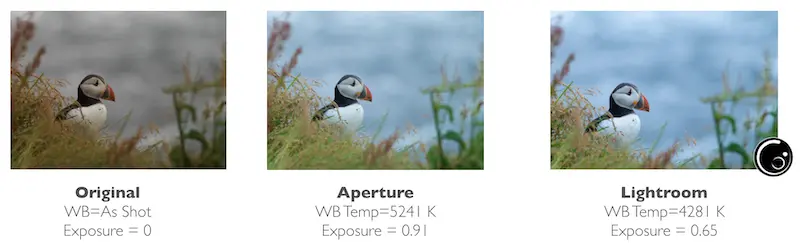 White Balance temperature adjustment on Avalanche, using machine leraning - export photos with Lightroom