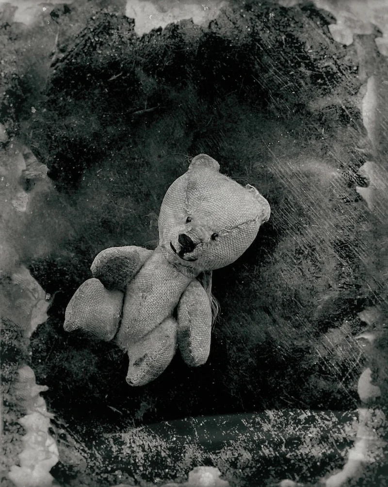 Portrait d'ours en peluche : applications d'édition noir et blanc pour la retouche des photo par Michel Redon