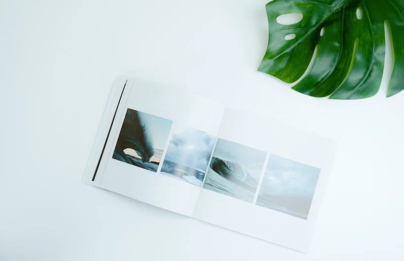 Photographie d'un livre imprimé en relation avec l'environnement