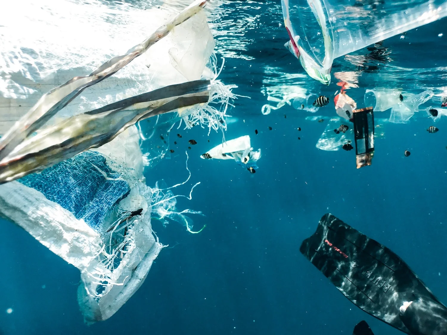Sacs en plastique et autres objets polluants flottant dans la mer avec des poissons qui y nagent, signe d'un impact sur le climat