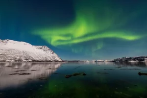 Photographie d'une aurore boréale dans l'Arctique, prise par Lana Tannir