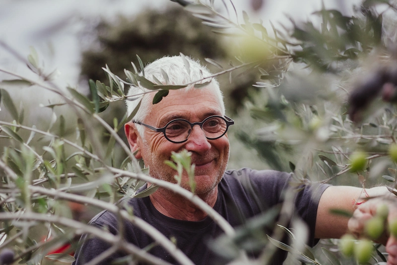 Portrait of Pierre Andre collecting olives in Domaine Clavel