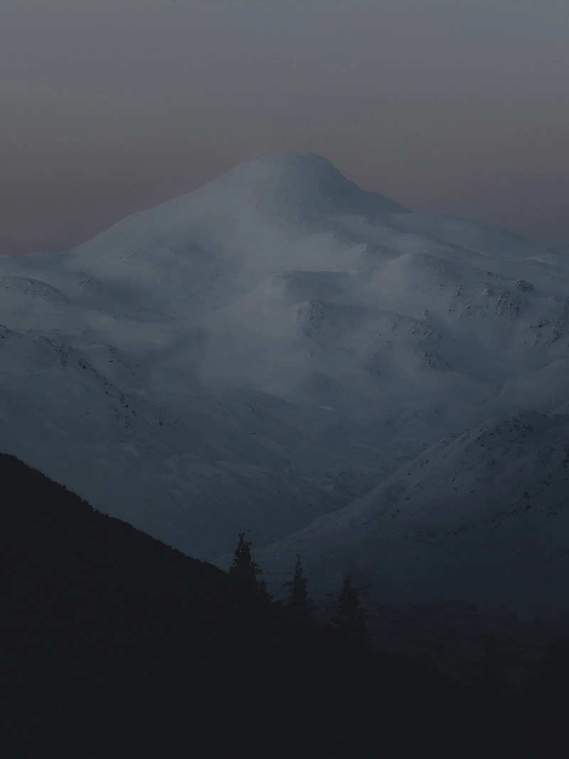 Photographie d'un paysage avec des montagnes enneigées en arrière-plan, prise par Lorenzo Poli, photographe d'art