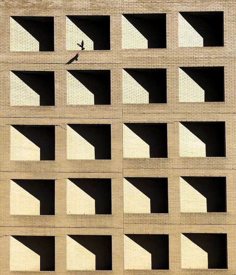 Photography of a building with an atypical lighting and a bird flying in front of it