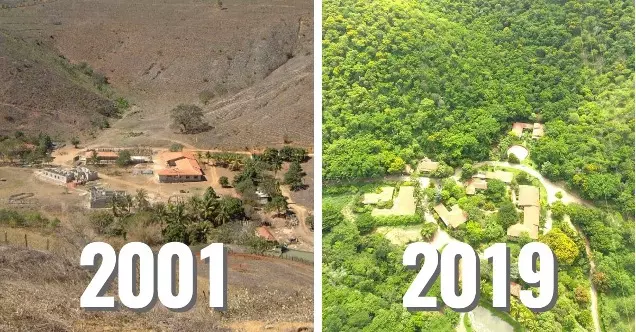 Instituto Terra pour la photo et l'écologie