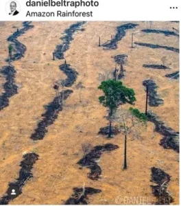 Daniel Bertra pour la photo et l'écologie