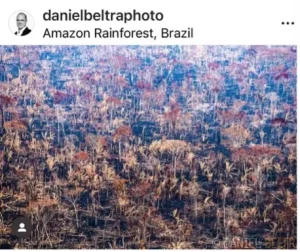 Daniel Bertra pour la photo et l'écologie