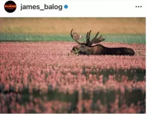 James Balog for photo and ecology