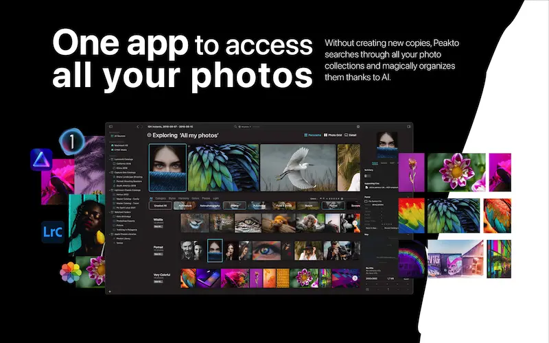 Peakto Photo Management Software - One app to access all your photos