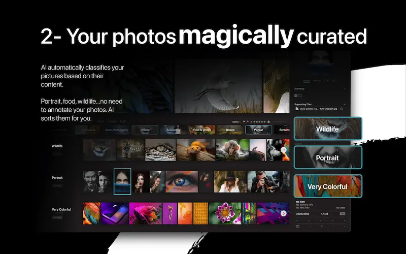Peakto Photo Management Software - Your photos magically curated