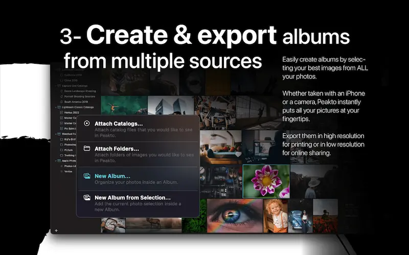 Peakto Photo Management Software - Create and export albums from multiple sources