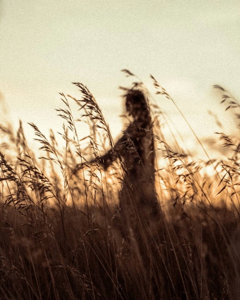 Le Grain en photographie avec Clément Siegfried 05