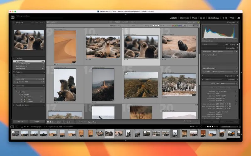 Gestion des photos avec les catalogues Lightroom 04