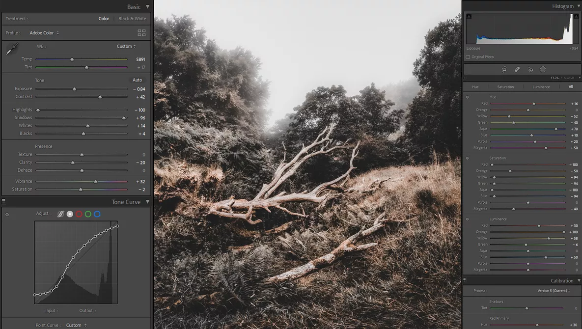 Convert Your Photo Presets from Capture One to Lightroom or Vice Versa 01