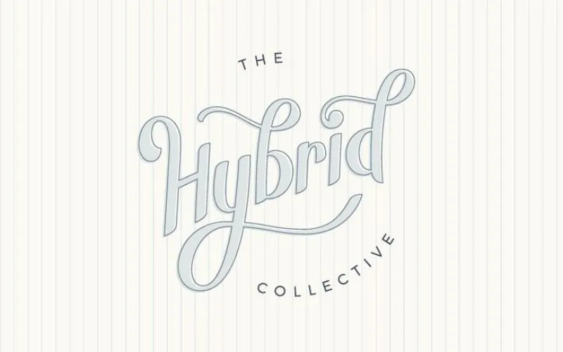 The Hybrid Collective