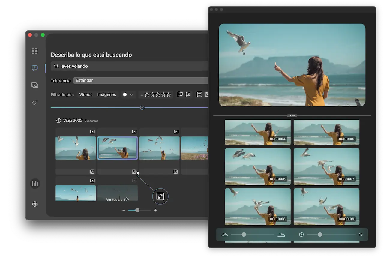 Reproductor de video en Peakto Search para Capture One