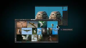 Peakto Brings Advanced Photo Organization Capabilities to Topaz Photo AI - Peakto 2.0