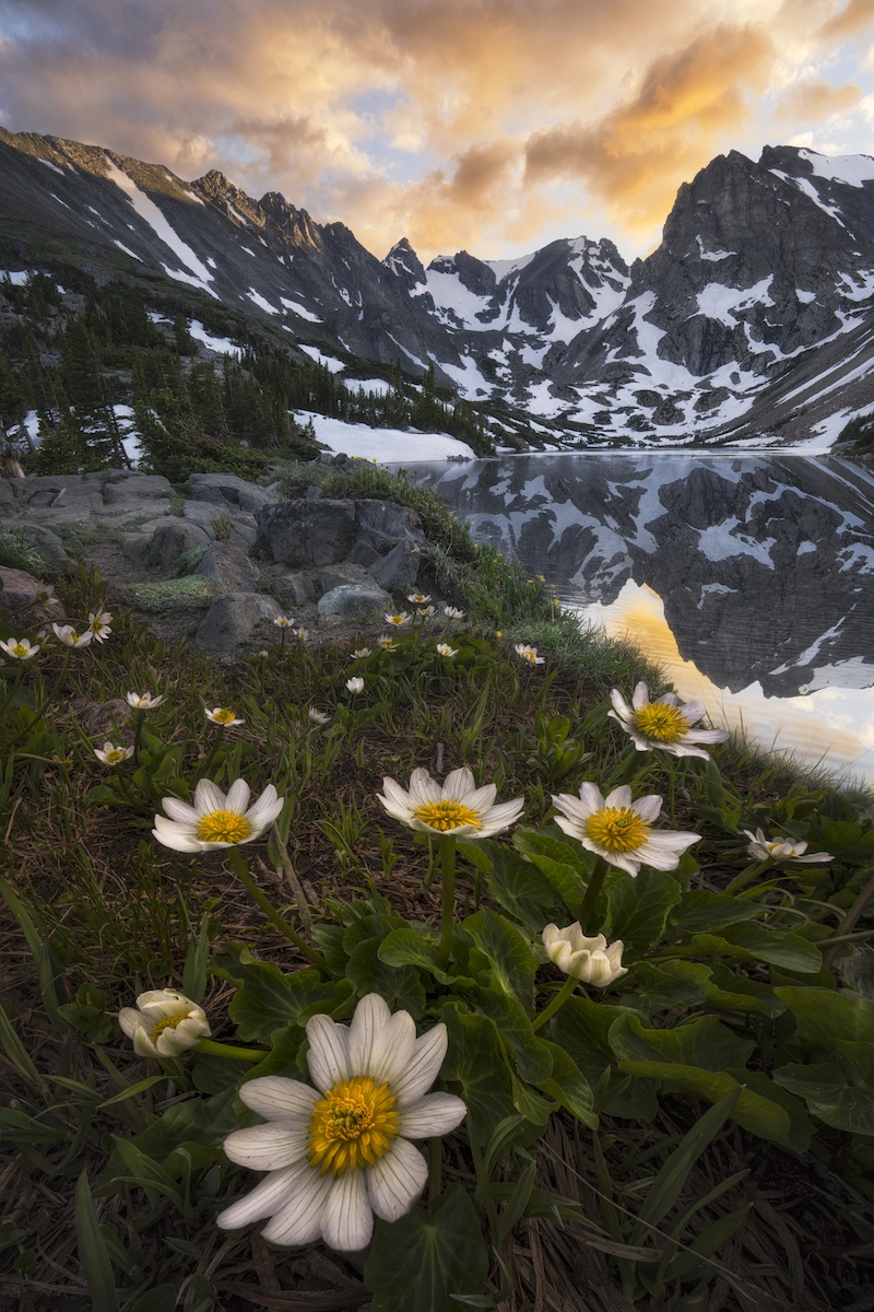 Capturer la beauté des paysages nocturnes avec Brandt Ryder 06