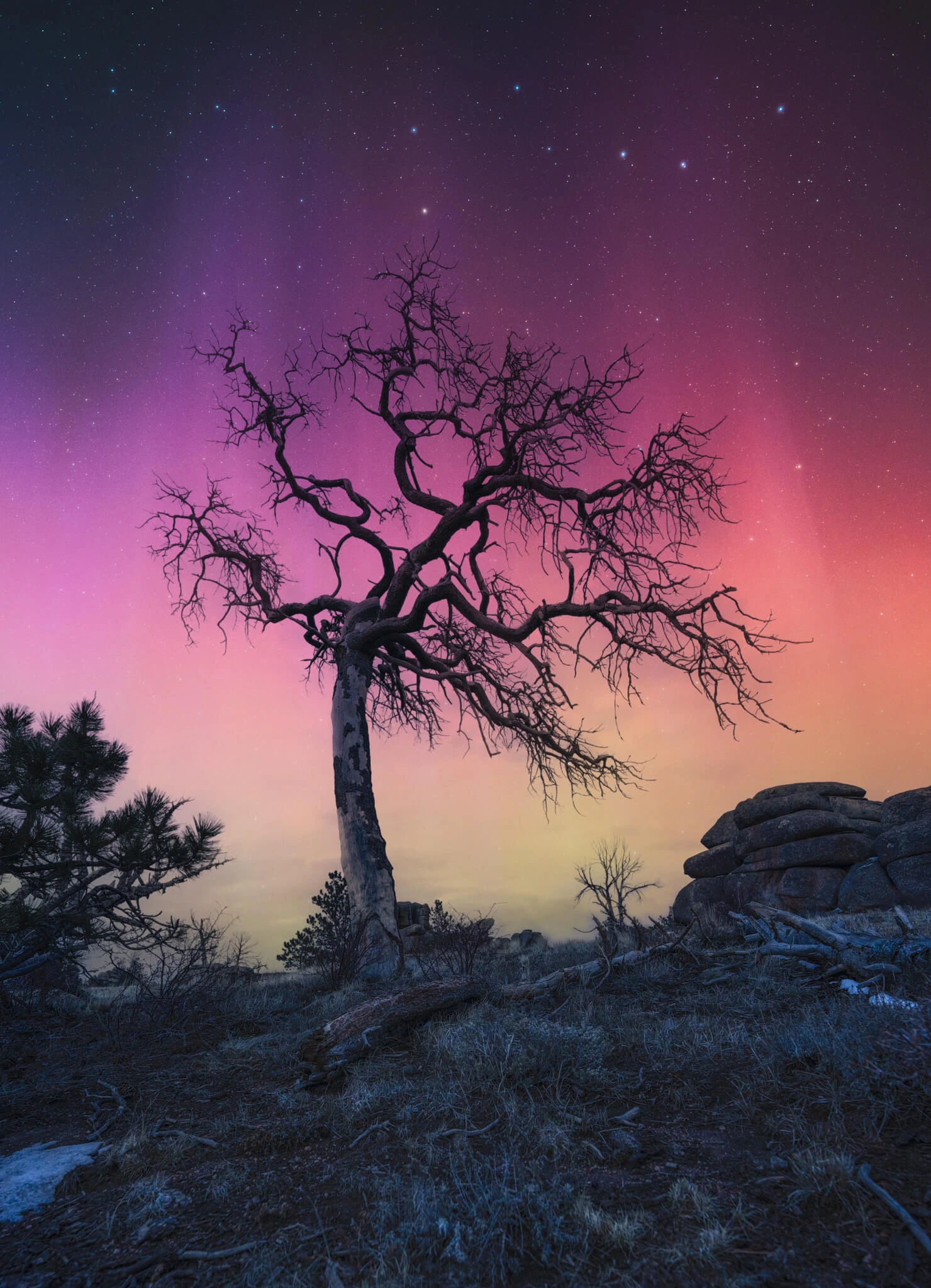 Capturer la beauté des paysages nocturnes avec Brandt Ryder 11