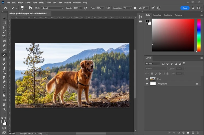 Adobe Photoshop : Meilleur éditeur photo avec IA pour les photographes professionnels