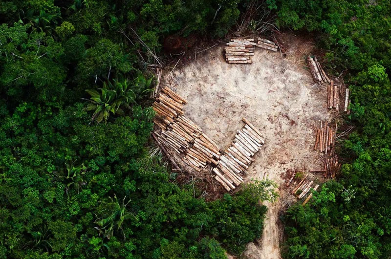 Le pouvoir des images pour sensibiliser à une Terre fragile - 01