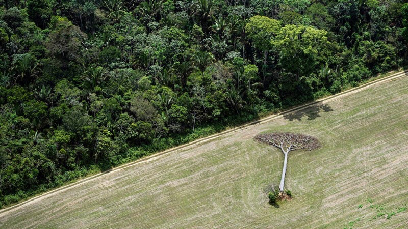 Le pouvoir des images pour sensibiliser à une Terre fragile - 02