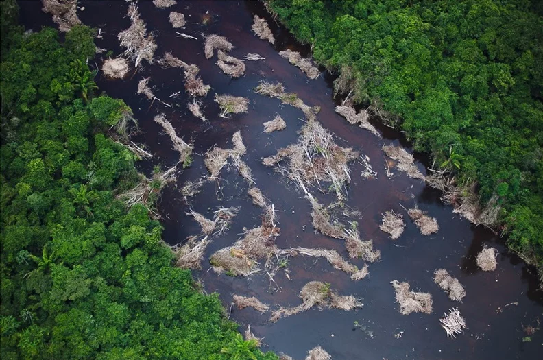 Le pouvoir des images pour sensibiliser à une Terre fragile - 03