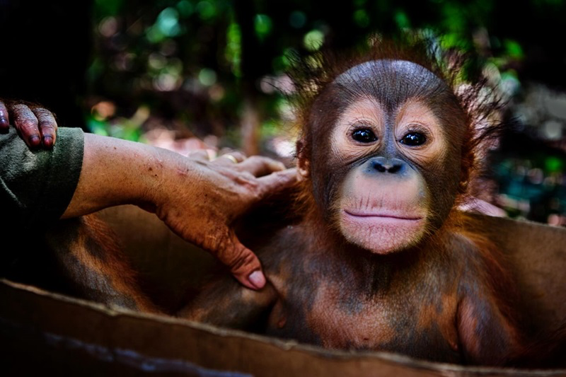 Le pouvoir des images pour sensibiliser à une Terre fragile - 12