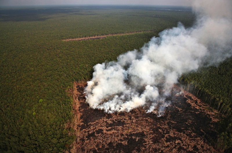 Le pouvoir des images pour sensibiliser à une Terre fragile - 25