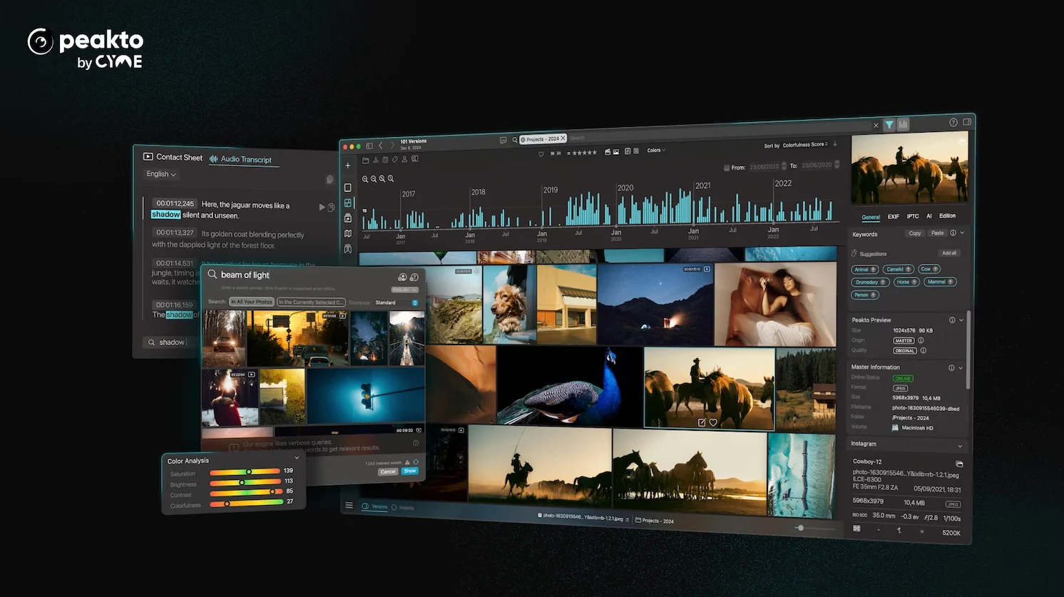 Peakto Reaches New Heights as the Ultimate Media Asset Manager for Creators - Peakto 2.2 - 01