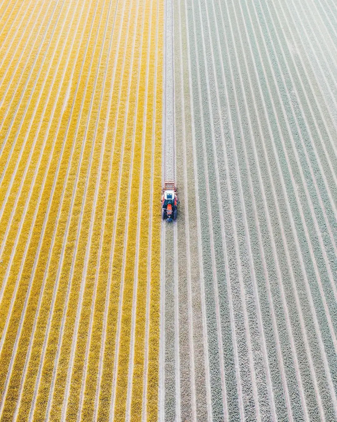 Illuminez votre Blue Monday avec des photos qui inspirent joie et positivité - Boyan Casper Ortse