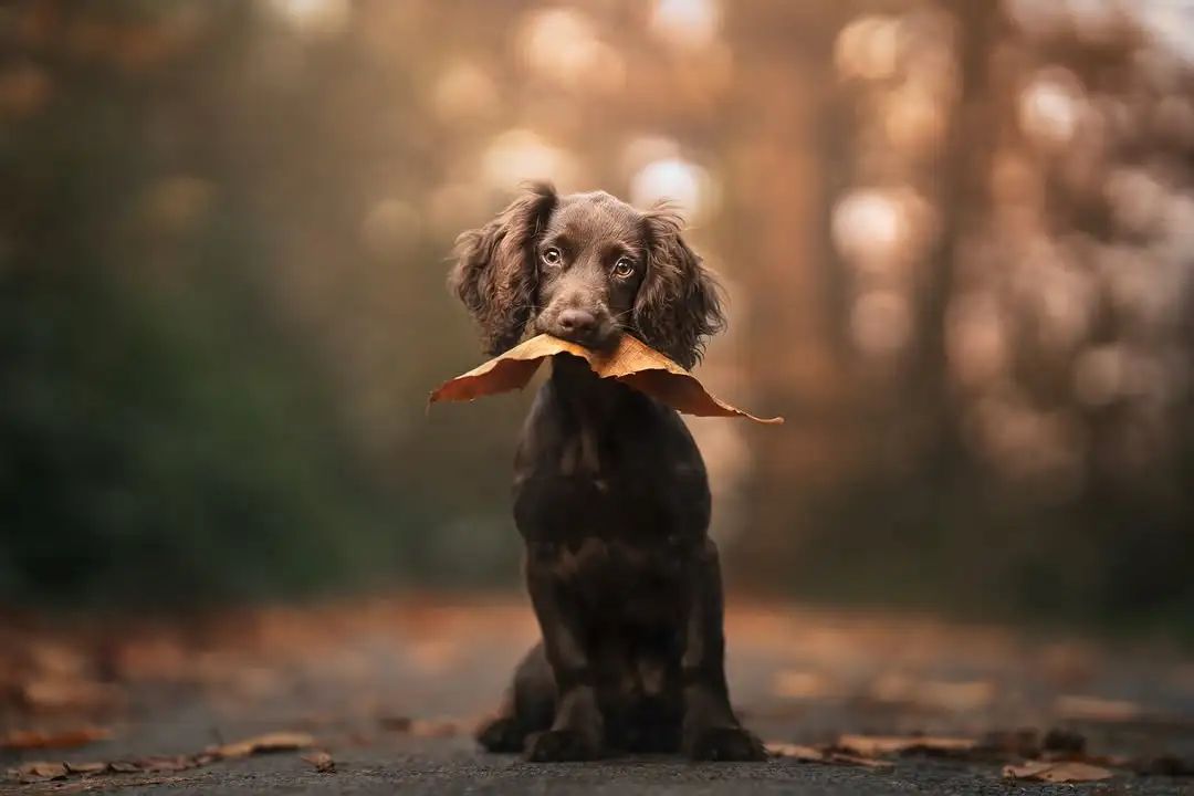 Brighten Blue Monday with Photos That Inspire Joy and Positivity - Emily Abrahams