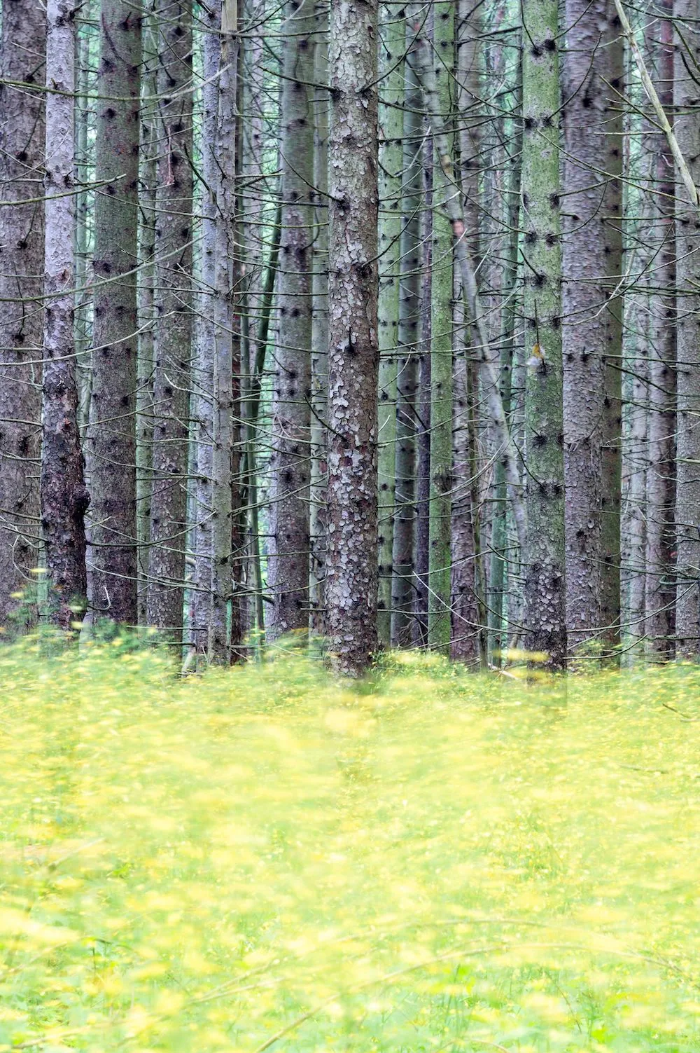 Revealing Emotion in Nature with Landscape Photographer Jason Pettit - Sheaf and Bundle