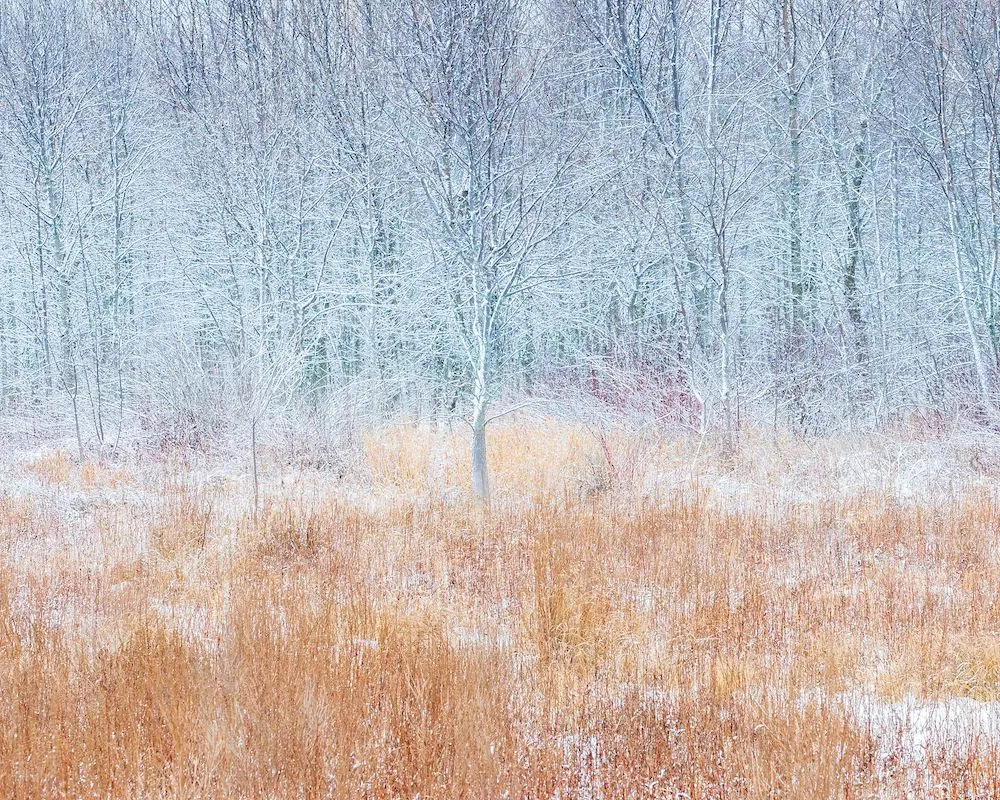 Revealing Emotion in Nature with Landscape Photographer Jason Pettit - Winter Marsh