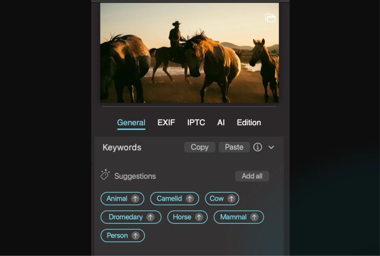 Smart Keywords in Peakto - 02
